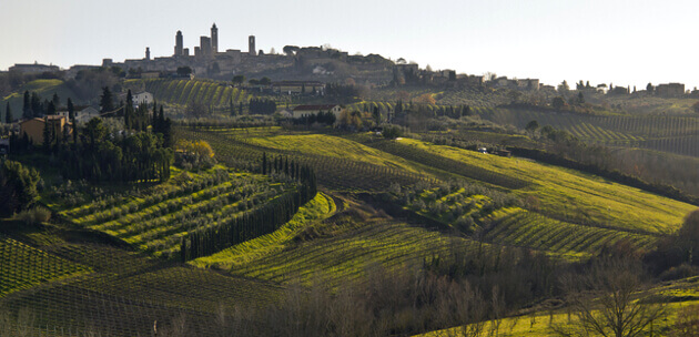 Vingårde og vinmarker ved San Gimignano