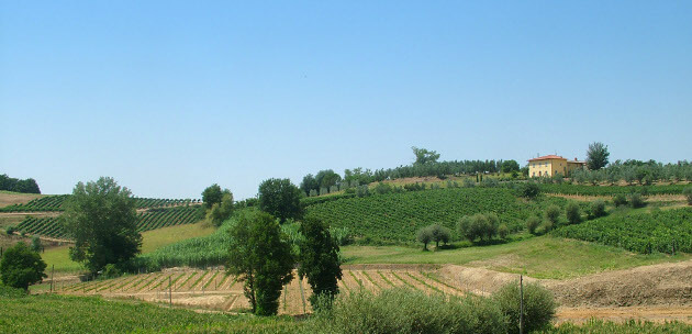 Vinslotte i Toscana Vinslotte i Toscana