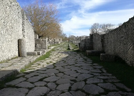 Saepium