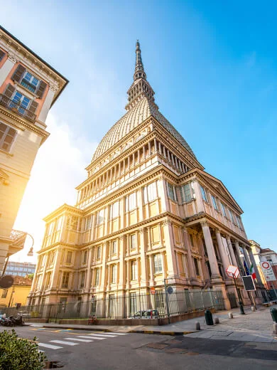 Mole Antoniella Mole Antoniella