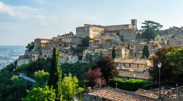 Todi Todi